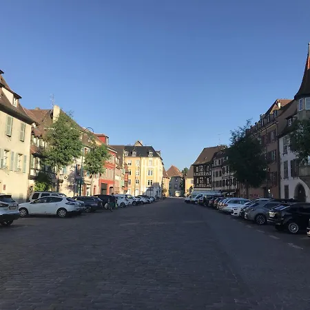 Le Coin De Frederic Апартаменты Кольмар